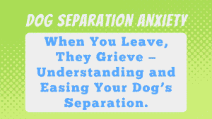 Dog Separation Anxiety