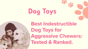 Dog Toys