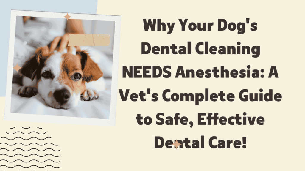 Why Your Dog's Dental Cleaning NEEDS Anesthesia: A Vet's Complete Guide to Safe, Effective Dental Care 1 Dog's Dental Cleaning