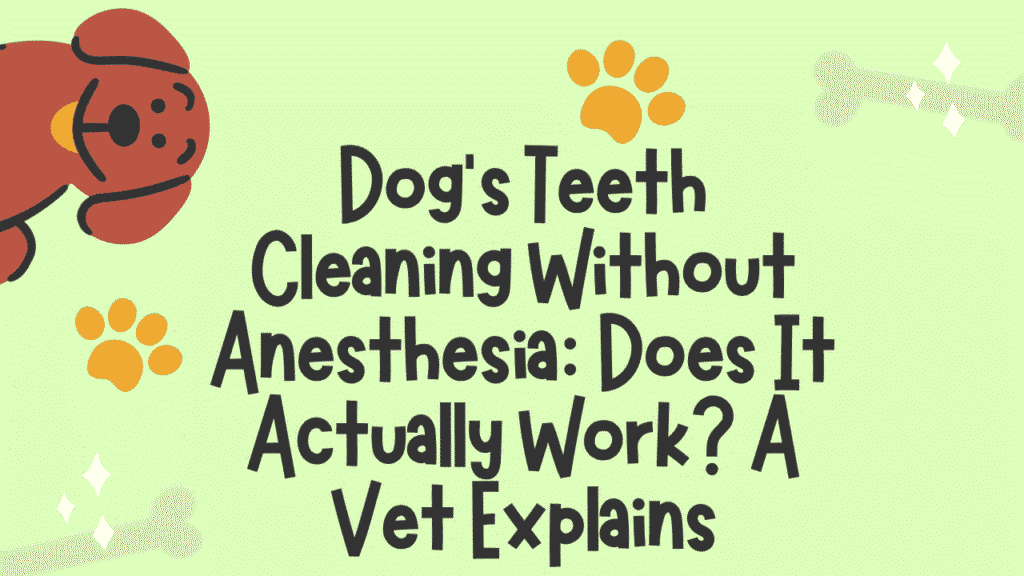 Dog's Teeth Cleaning Without Anesthesia: Does It Actually Work? A Vet Explains 1 Dog's Teeth Cleaning