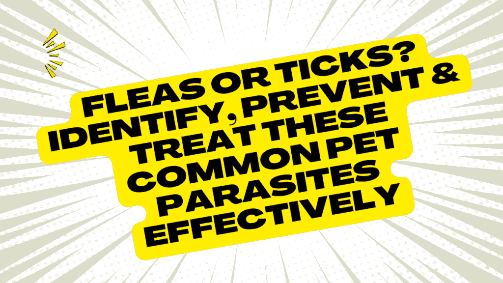 Fleas or Ticks
