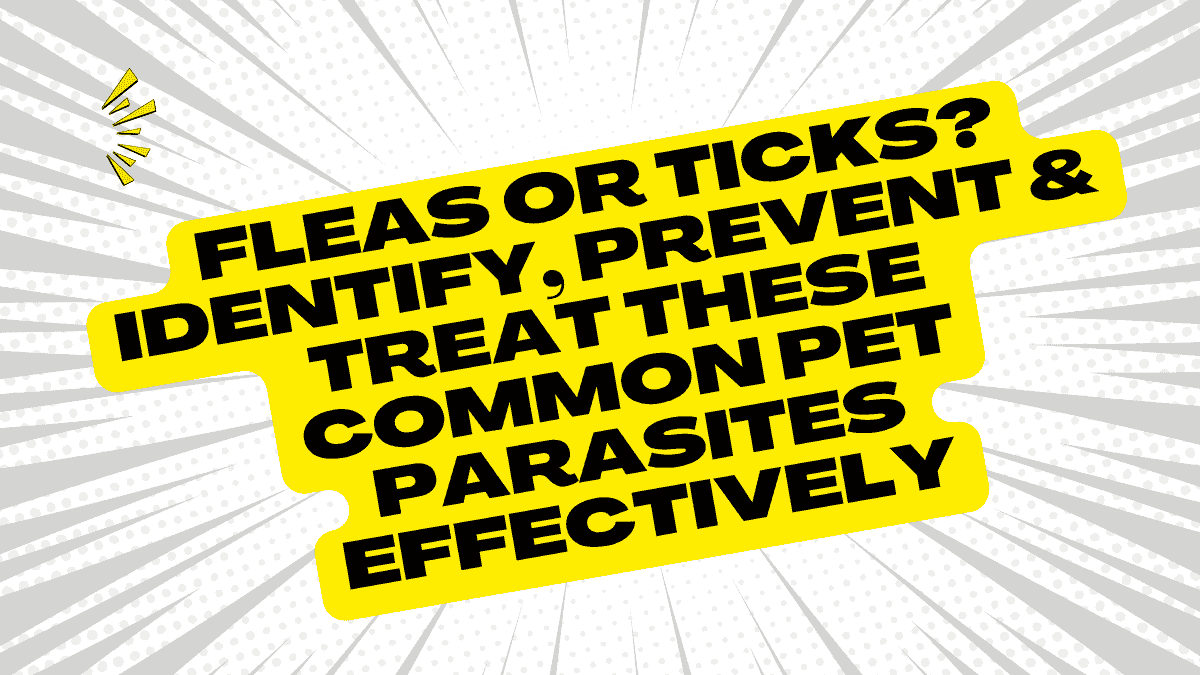Fleas or Ticks