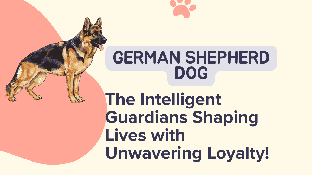 GERMAN SHEPHERD DOG
