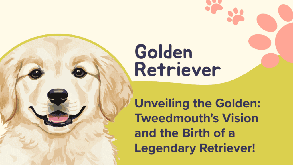 Golden Retriever Roots: From Scottish Waters to Worldwide Treasures 1 Golden Retriever