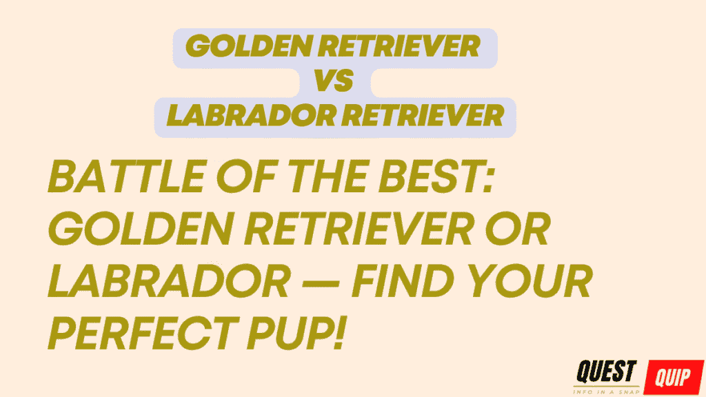 Golden Retriever vs Labrador Retriever: Which Is Right for You? (2025 Complete Comparison) 1 Golden Retriever vs Labrador