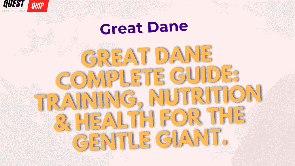Great Dane Complete Guide: Gentle Giants, Health Challenges, and Costs 1 Great Dane