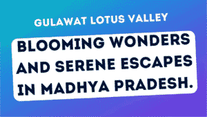 Gulawat Lotus Valley – Enchanted Lotuses of Gulawat a Floral Paradise Awaits Your Discovery 4 Gulawat Lotus Valley