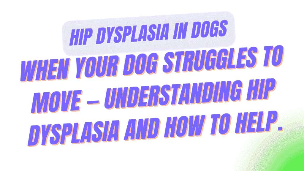 Hip Dysplasia in Dogs: Complete Guide to Symptoms, Treatment, and Costs 1 Hip Dysplasia in Dogs