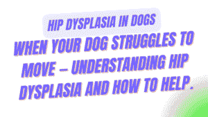 Hip Dysplasia in Dogs
