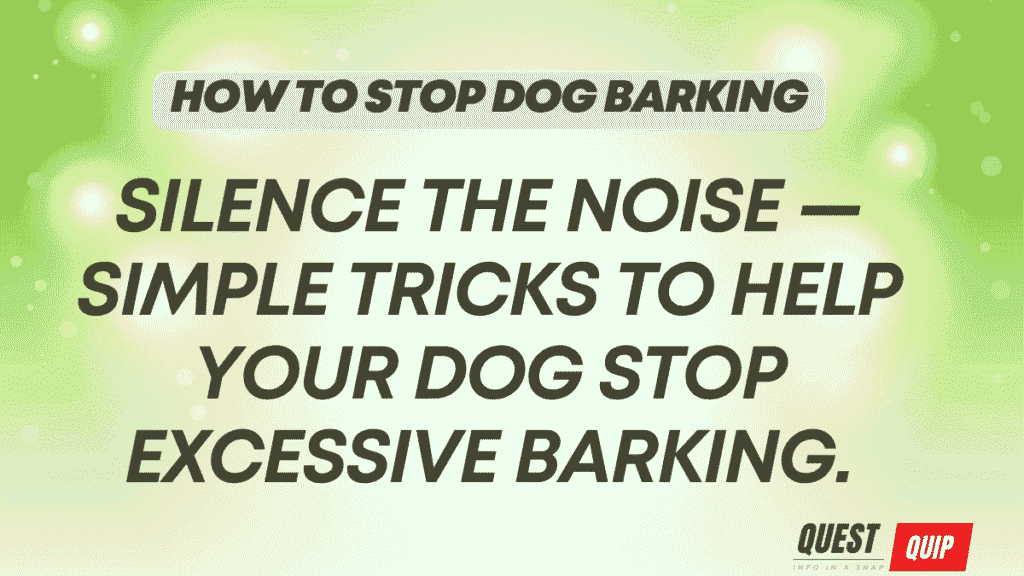 How to Stop Dog Barking: Training Methods That Actually Work 1 How to Stop Dog Barking