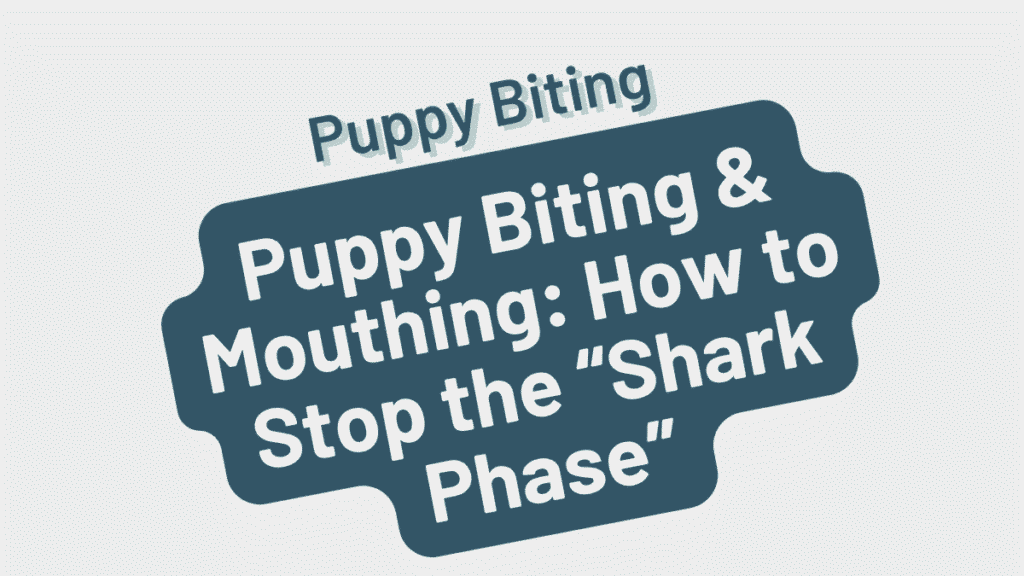 Puppy Biting