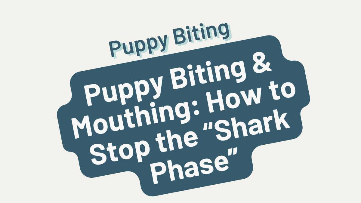 Puppy Biting