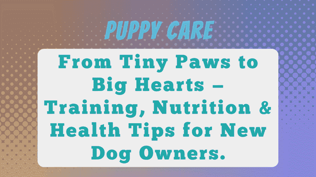 Puppy Care
