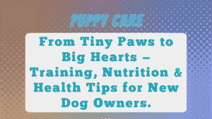 Puppy Care