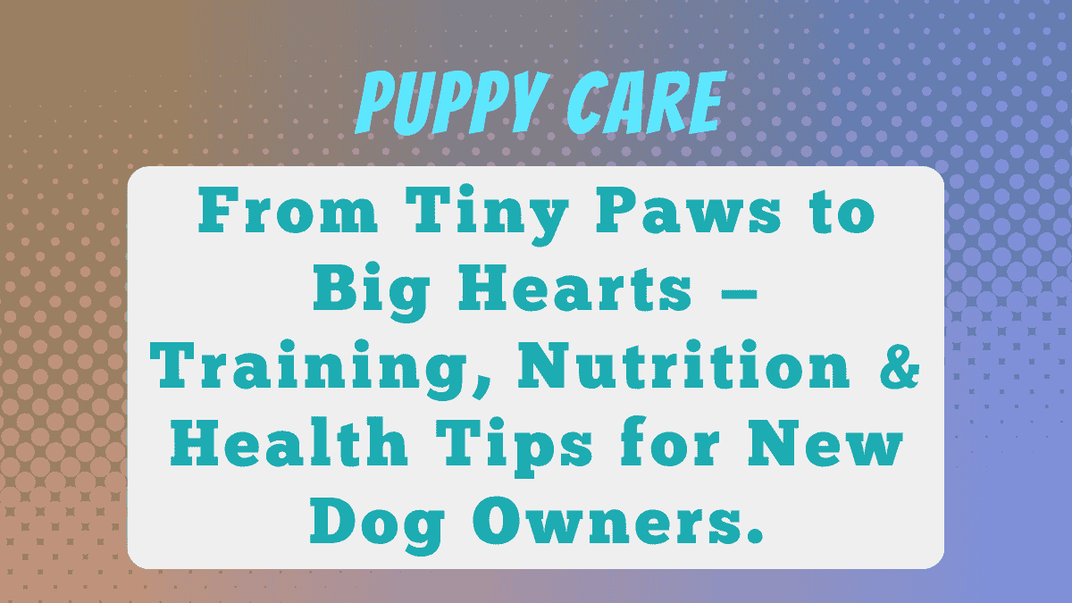Puppy Care