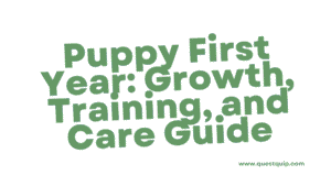 Puppy First Year