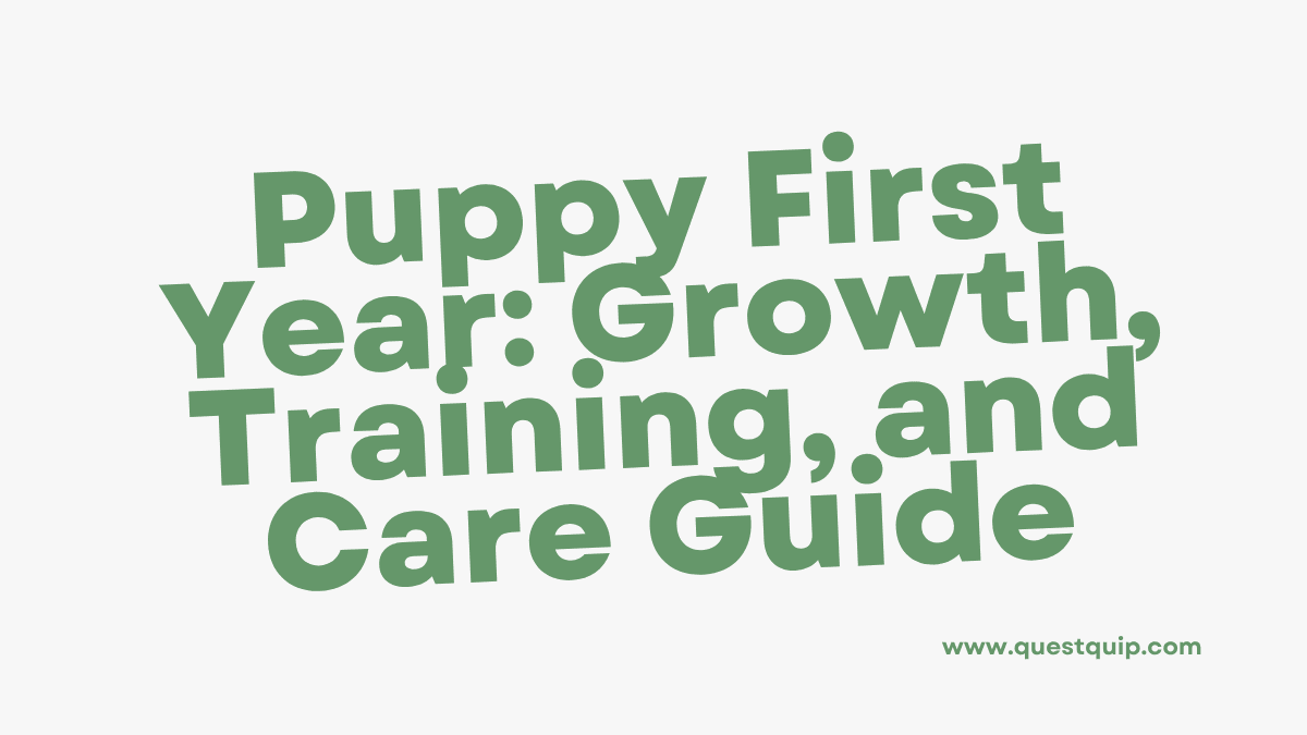 Puppy First Year