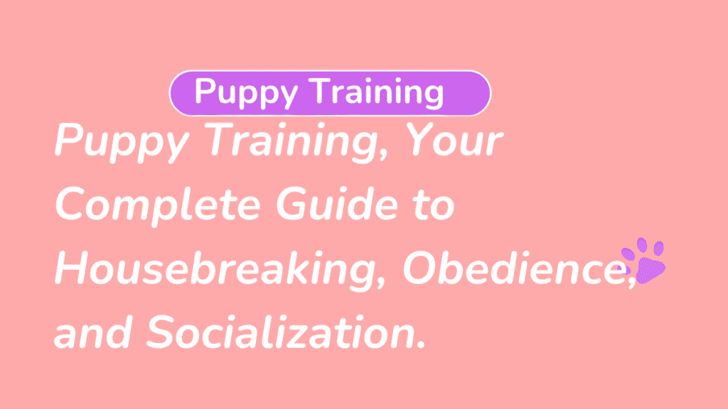 Puppy Training
