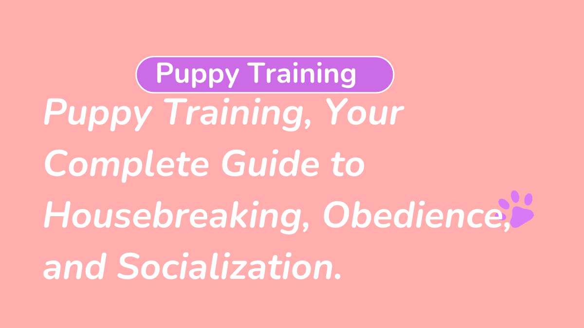 Puppy Training