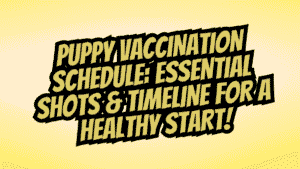 Puppy Vaccination Schedule: What Shots and When? Complete Guide 4 Puppy Vaccination Schedule