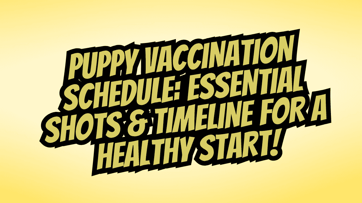 Puppy Vaccination Schedule