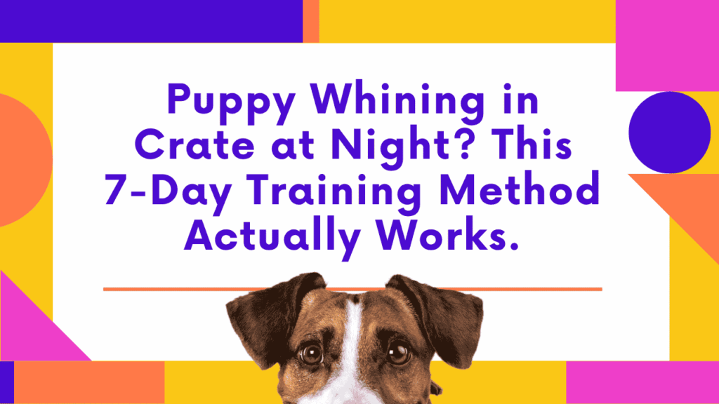 Puppy Whining