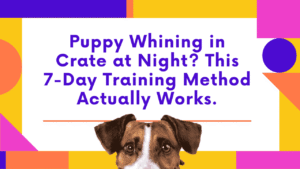 Puppy Whining