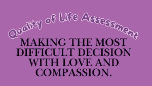 Quality of Life Assessment & End-of-Life Care: Making the Most Difficult Decision with Love and Compassion 7 Quality of Life Assessment
