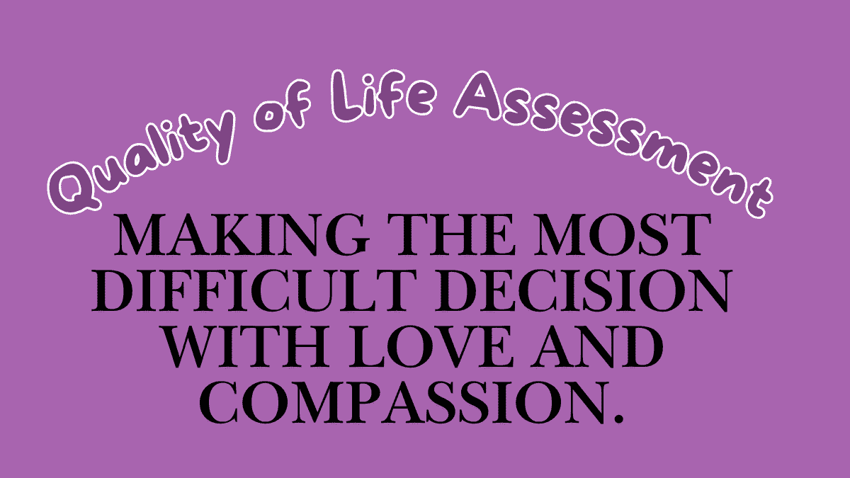 Quality of Life Assessment