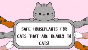 Safe Houseplants for Cats