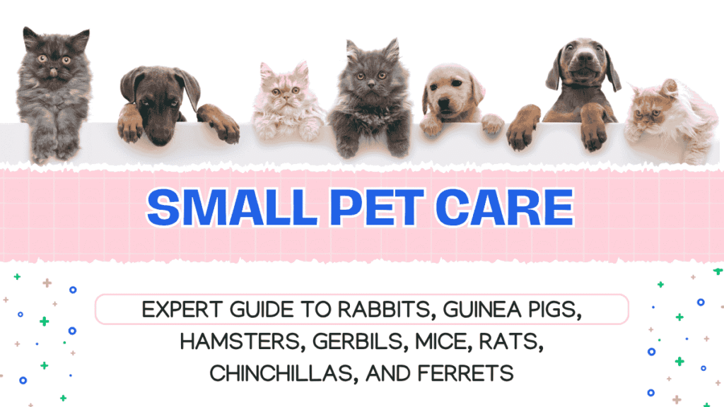 Small Pet Care