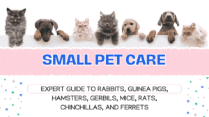 Small Pet Care