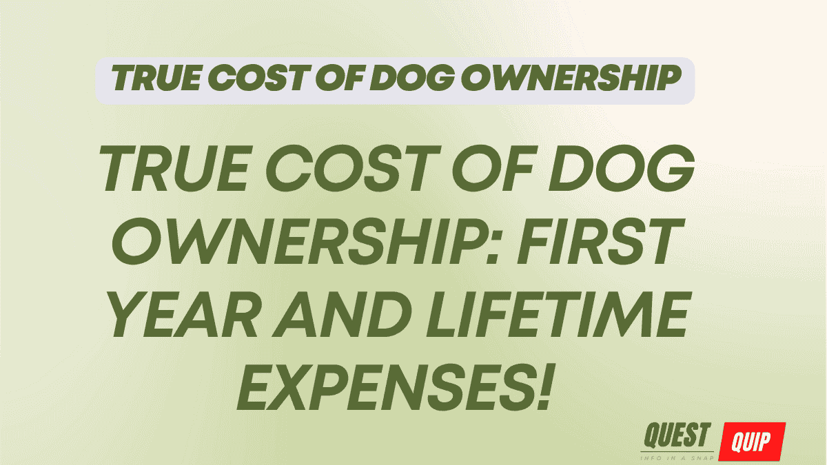 True Cost of Dog Ownership
