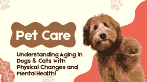 Understanding Aging in Dogs & Cats: Navigating the Golden Years with Physical Changes and Mental Health 9 Understanding Aging in Dogs