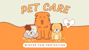 Winter Paw Protection