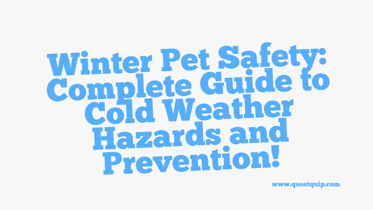 Winter Pet Safety