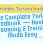 Yorkshire Terrier