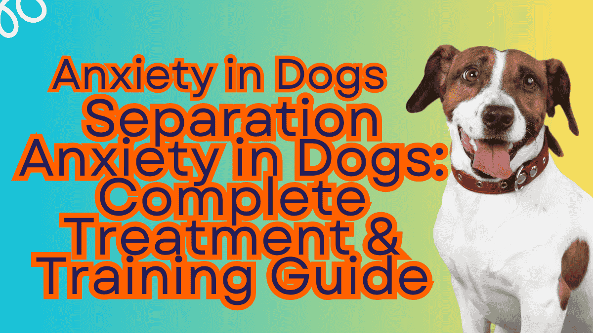 Anxiety in Dogs