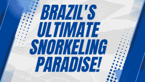 Brazil's Ultimate Snorkeling Paradise: Baía do Sancho's Dramatic Cliff-Ladder Access, Spinner Dolphins & World-Class Marine Reserve Reality 3 Brazil's Ultimate Snorkeling Paradise
