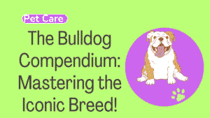 Bulldog Compendium