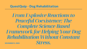 Dog Rehabilitation