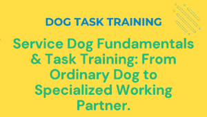 Dog Task Training