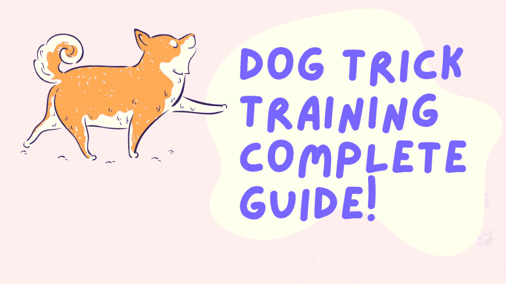 Dog Trick Training
