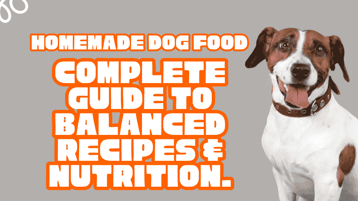 Homemade Dog Food