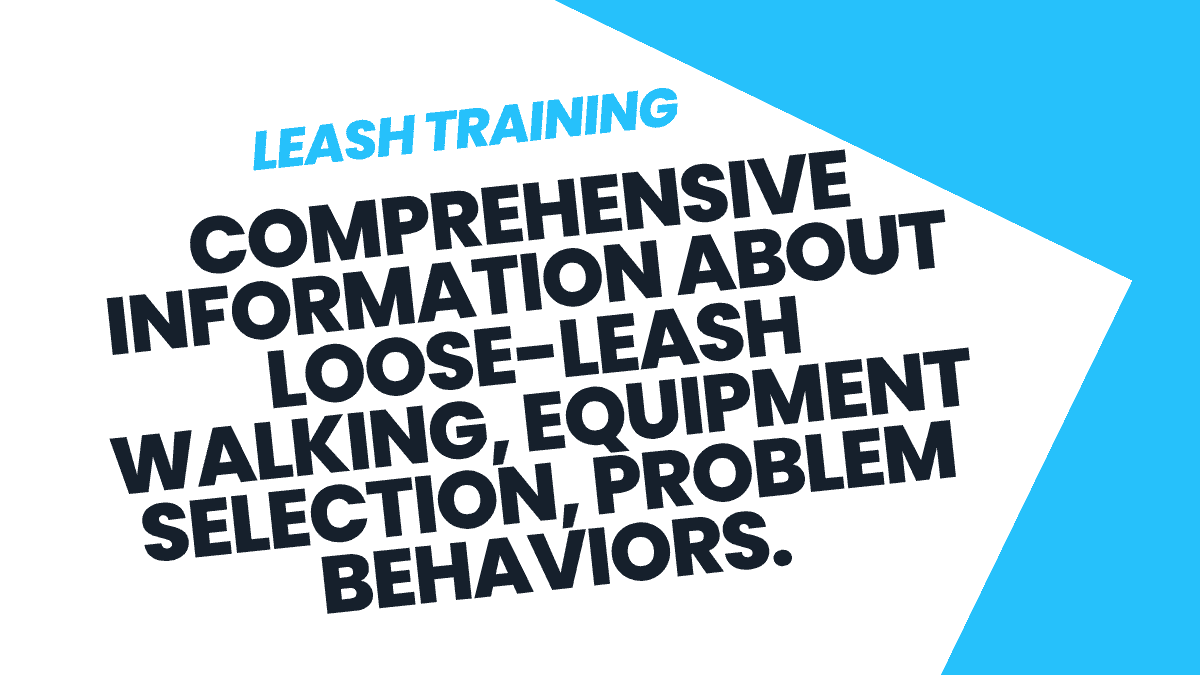 Leash Training