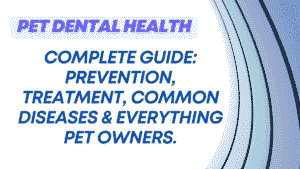 Pet Dental Health Complete Guide: Prevention, Treatment, Common Diseases & Everything Pet Owners Must Know About Maintaining Optimal Oral Health 4 Pet Dental Health