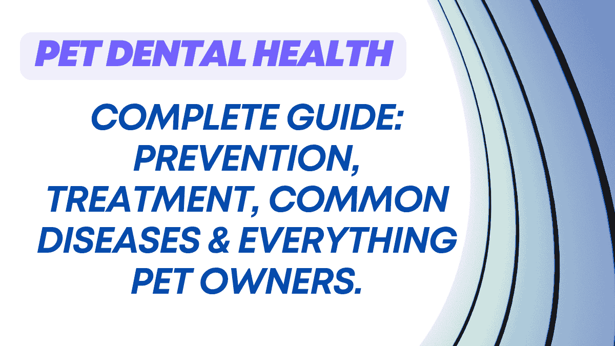 Pet Dental Health