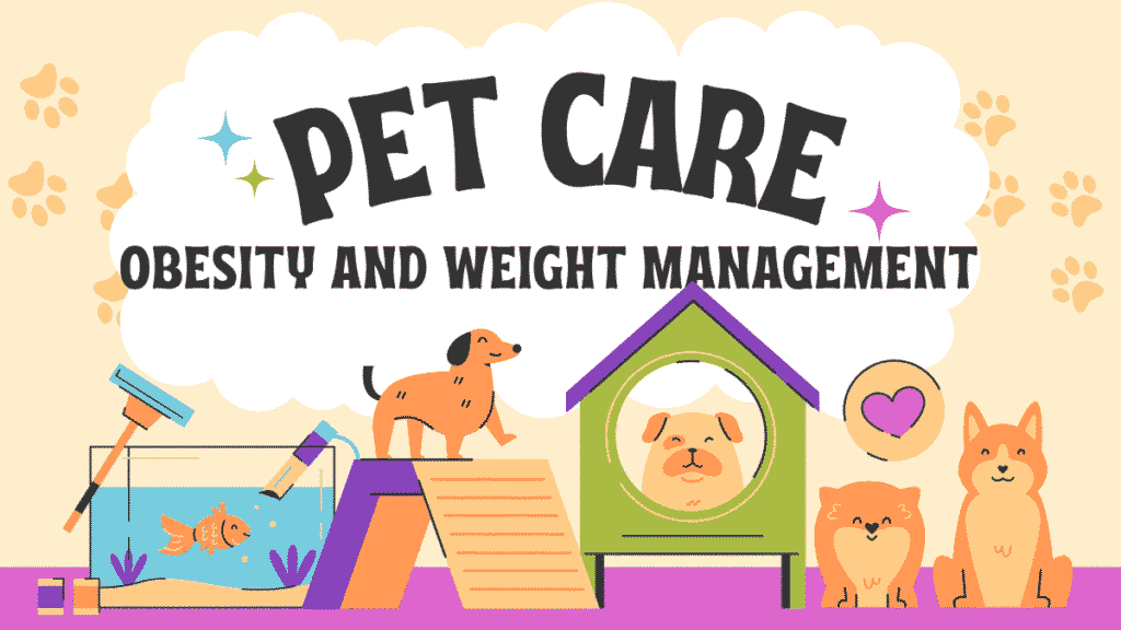 Pet Obesity and Weight Management Complete Guide: Causes, Prevention, Treatment Strategies & Everything Pet Owners Need to Know About Maintaining Healthy Weight 1 Pet Obesity