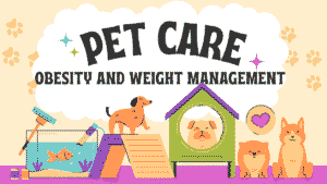 Pet Obesity and Weight Management Complete Guide: Causes, Prevention, Treatment Strategies & Everything Pet Owners Need to Know About Maintaining Healthy Weight 3 Pet Obesity