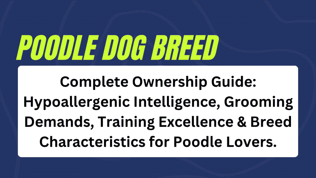 Poodle Breed Standard Complete Ownership Guide: Hypoallergenic Intelligence, Grooming Demands, Training Excellence & Breed Characteristics for Poodle Lovers 1 Poodle dog Breed